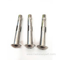 M16 Standard Size Hexagon Stainless Steel Expansion Bolts